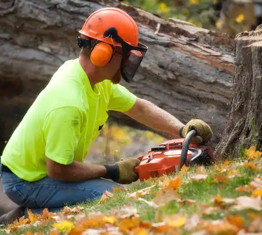 tree services Imperial